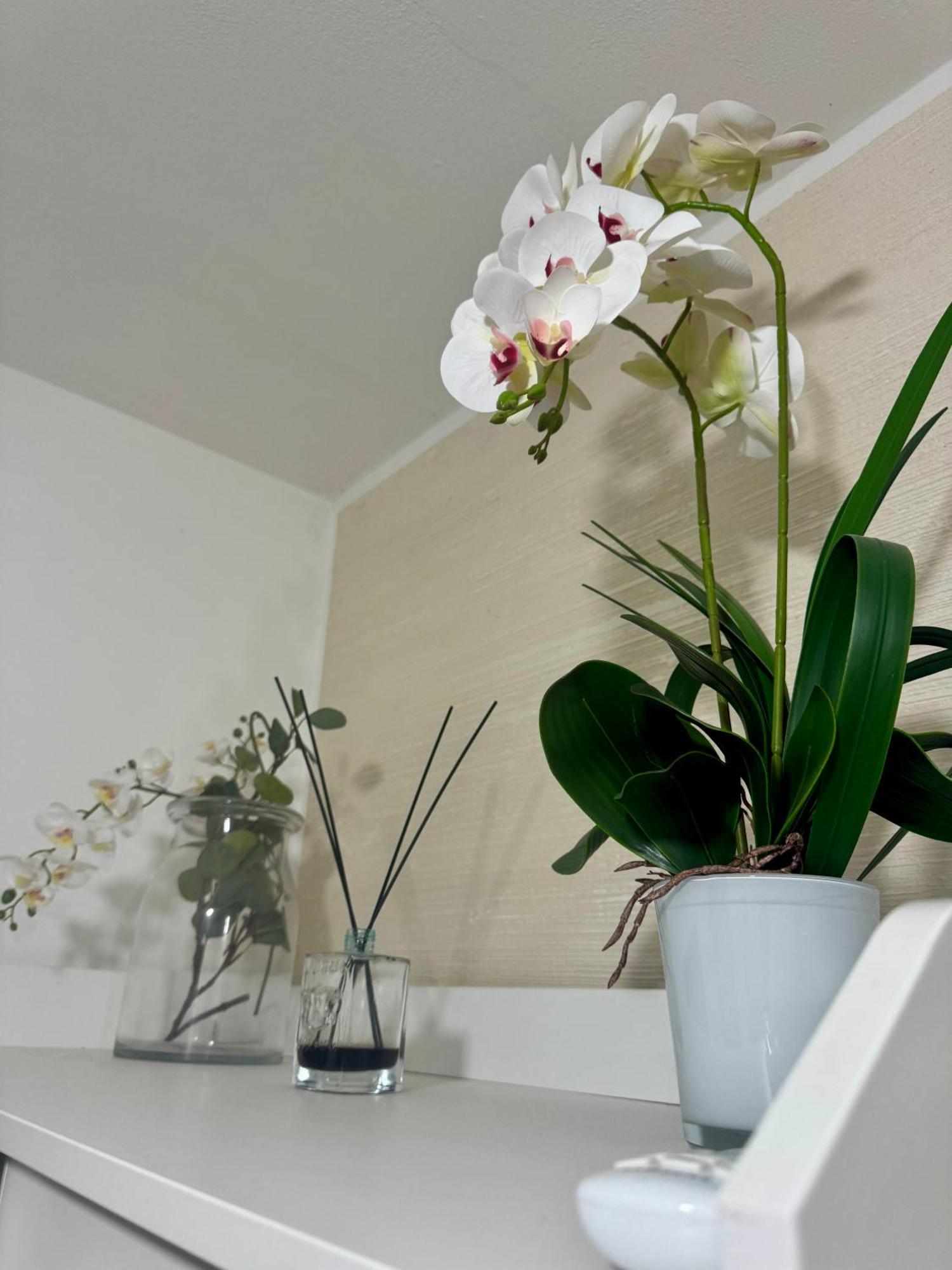 Casa Alessio - Elegante Appartamento Nel Cuore Di Cesano Maderno Exteriér fotografie